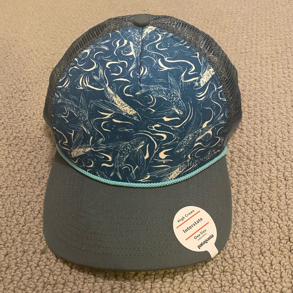 patagonia hat